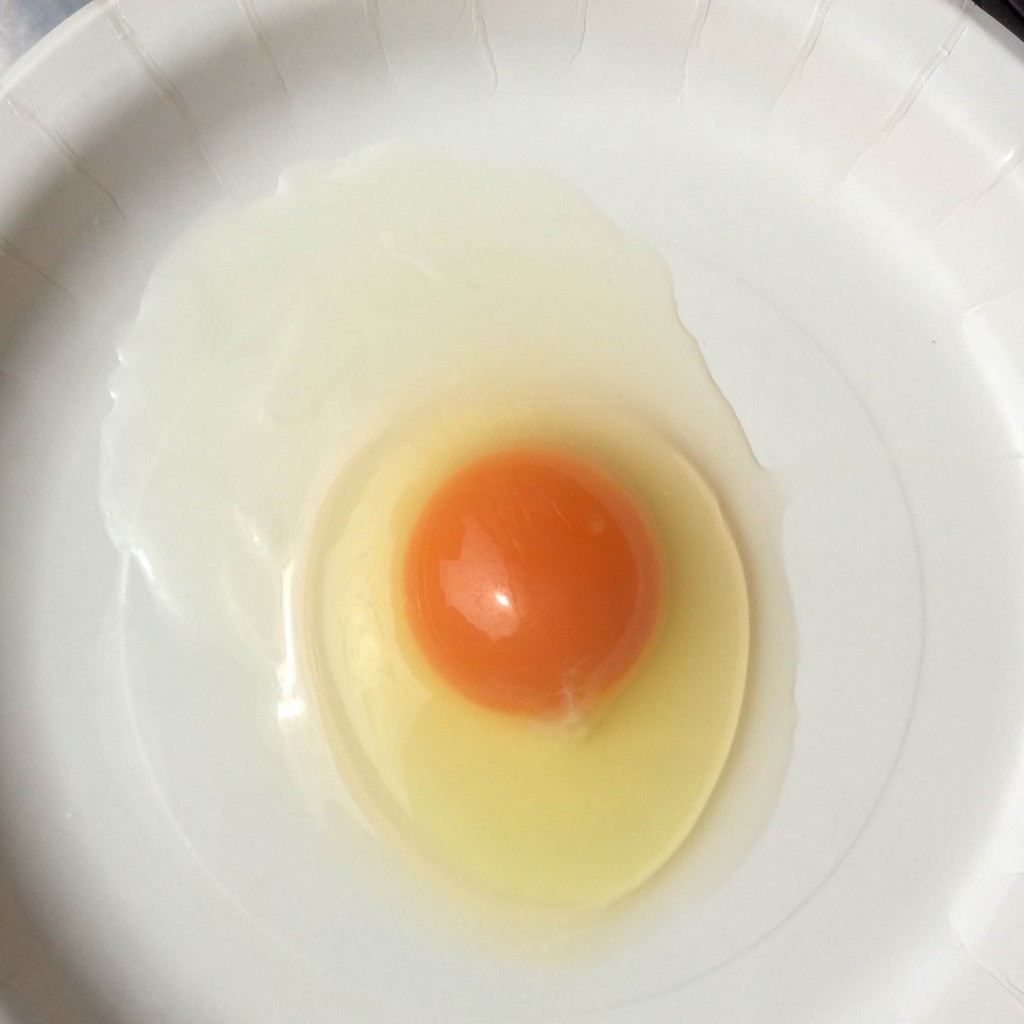 卵黄の中身 180万個の卵黄球!? | 東京鶏卵ブログ